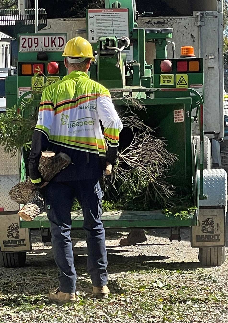 treepeeps-gallery-08