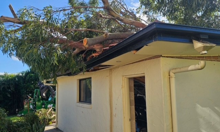 24 Hour Emergency Tree Response