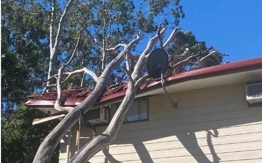24 Hour Emergency Tree Response