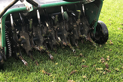 Lawn Aeration