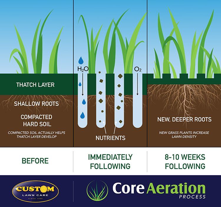 Core Aeration Service | Custom Personalized Lawn Care
