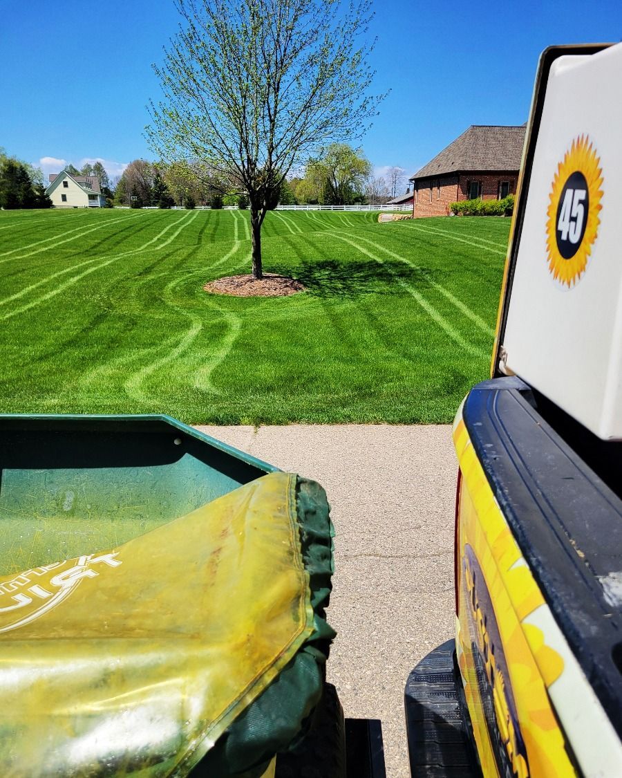 Custom Lawn Care Treated 5