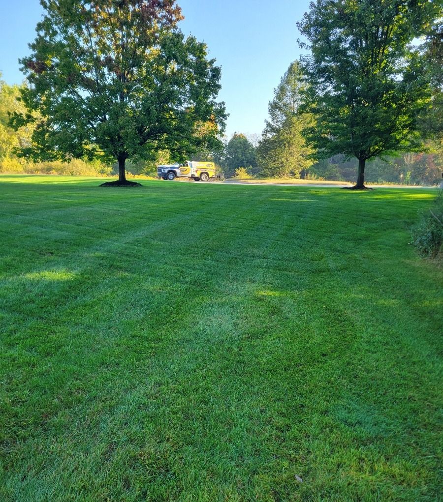 Custom Lawn Care Treated 1