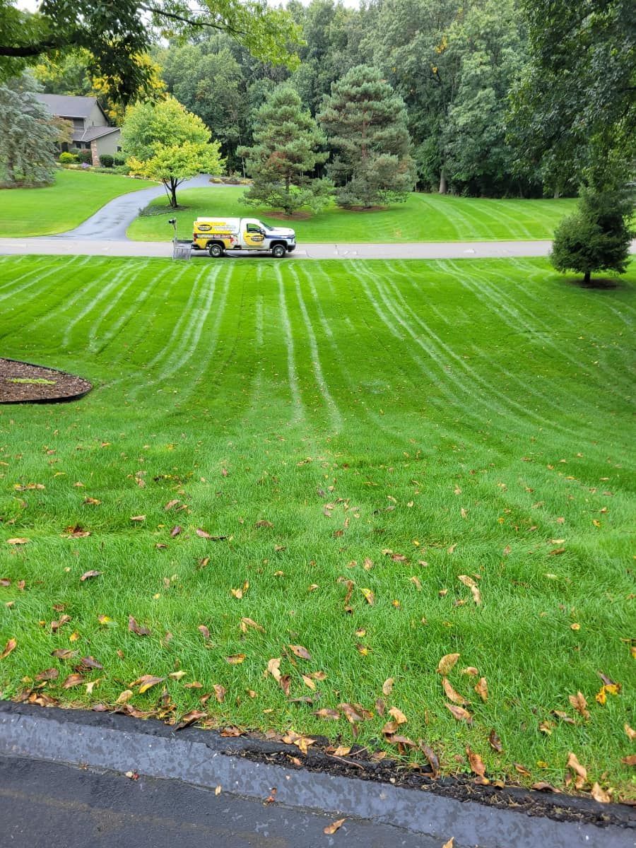 Custom Lawn Care Treated 8