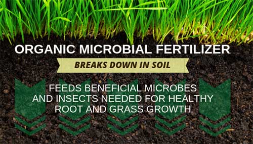 Organic Microbial Fertilizer