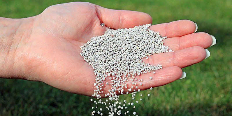 Lawn Fertilizer