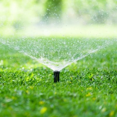 lawn sprinkler