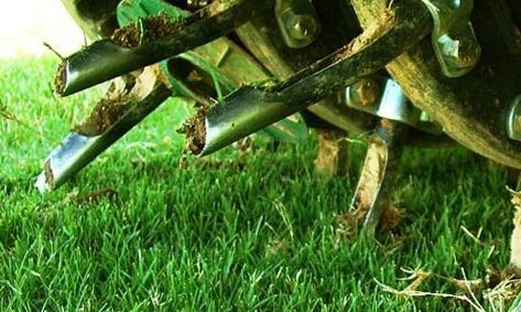 Lawn  Aeration Service