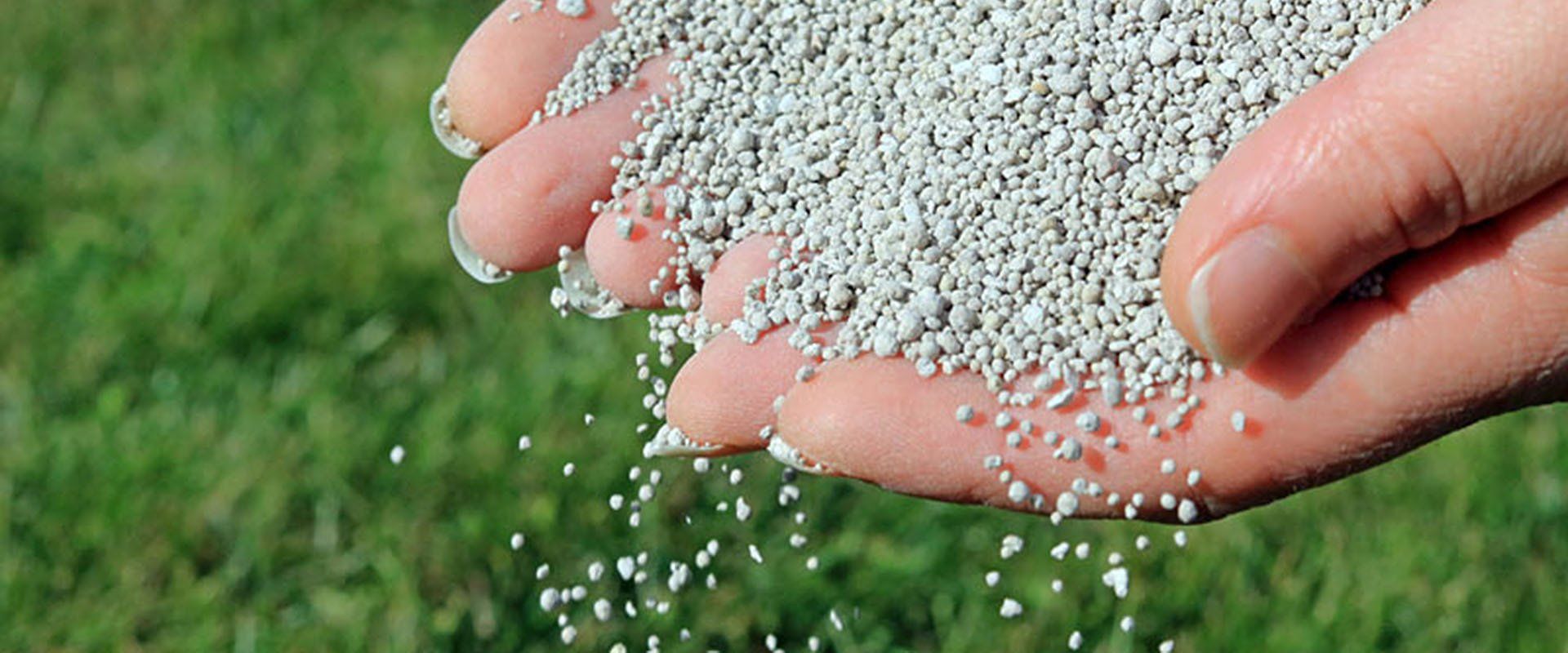 Lawn Fertilizer