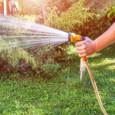 Watering the lawn