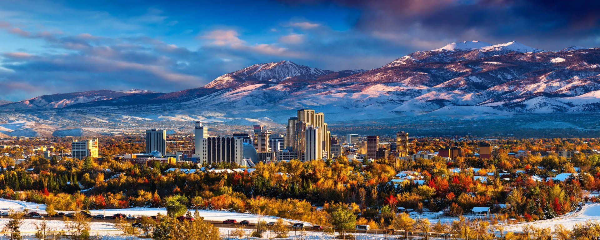 Reno Seed Fund photo