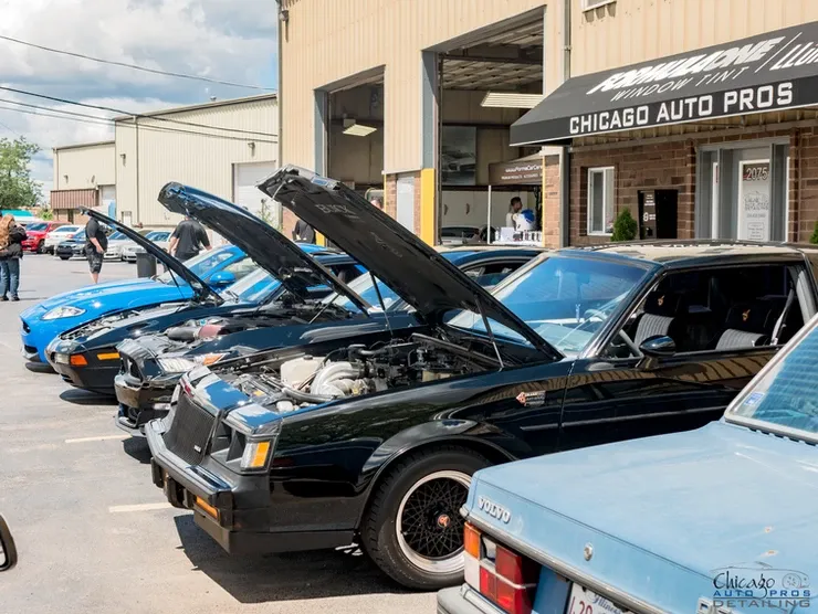 A row of cars parked in front of a building with their hoods up.