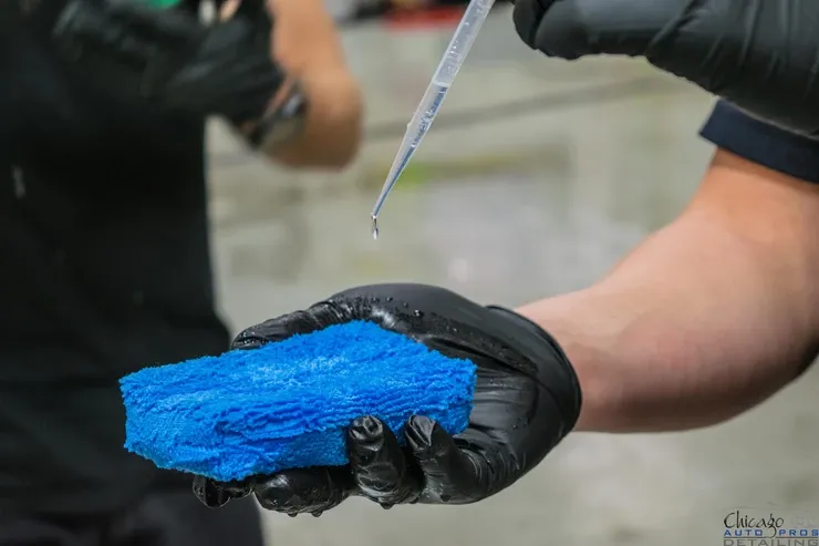 A person wearing black gloves is holding a blue sponge and a pipette.