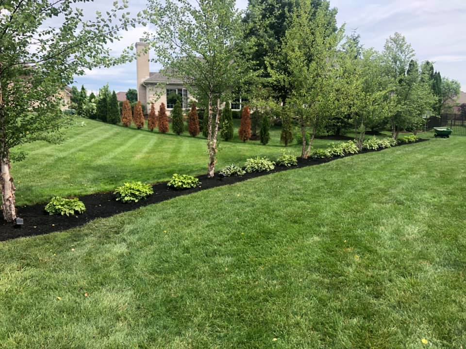 Amazing Lawn — Fairborn, Ohio — Smith’s Lawn & Landscaping