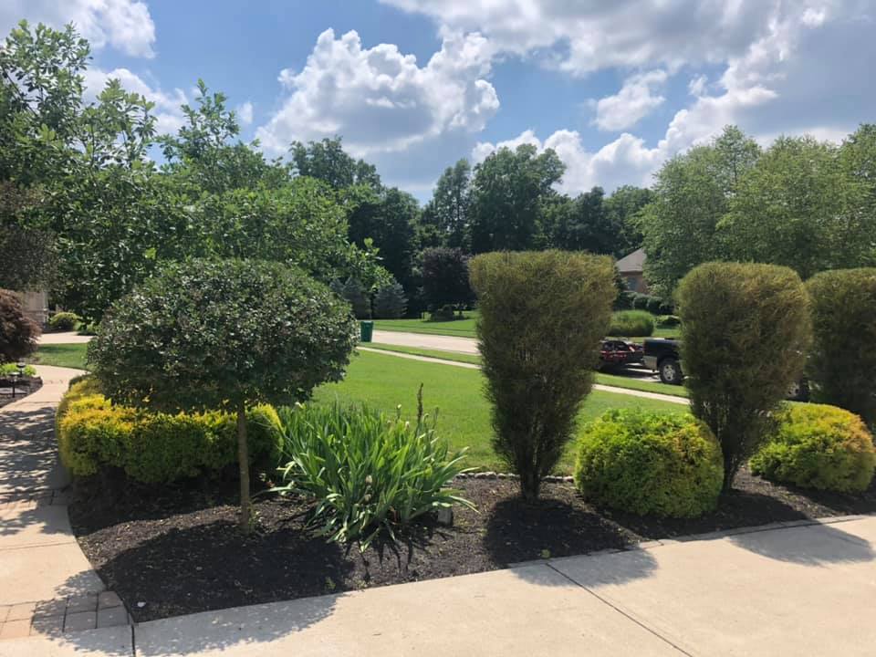 Different Kind Of Small Trees — Fairborn, Ohio — Smith’s Lawn & Landscaping