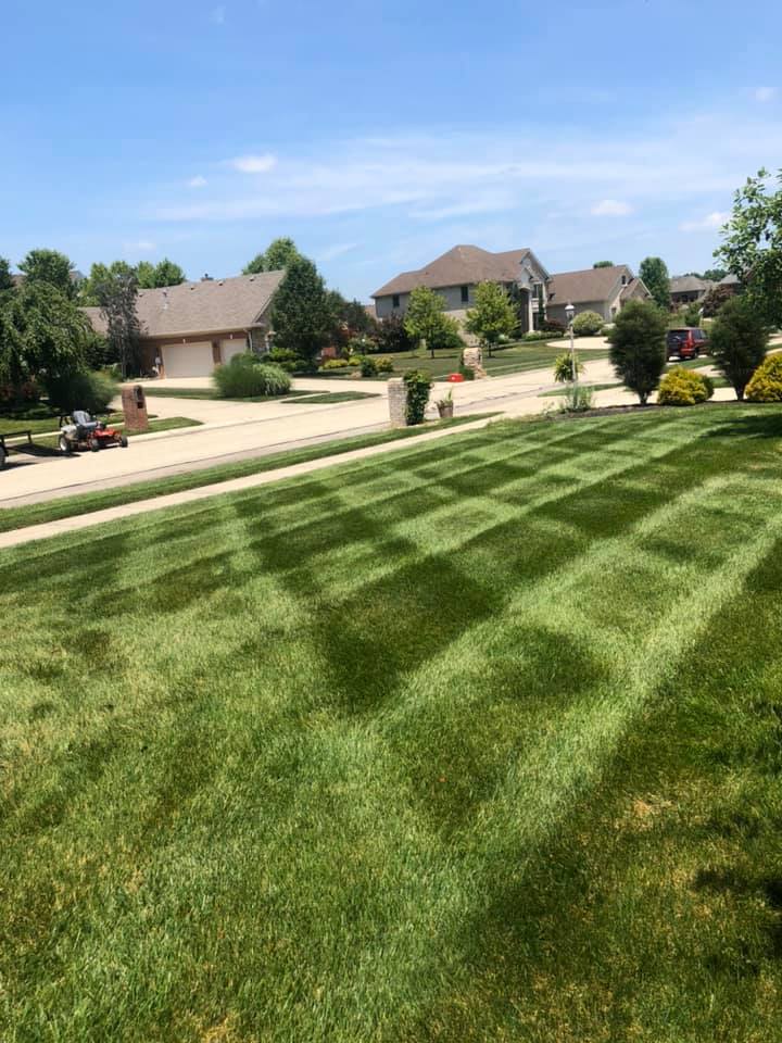 Simple Amazing Green Lawn — Fairborn, Ohio — Smith’s Lawn & Landscaping