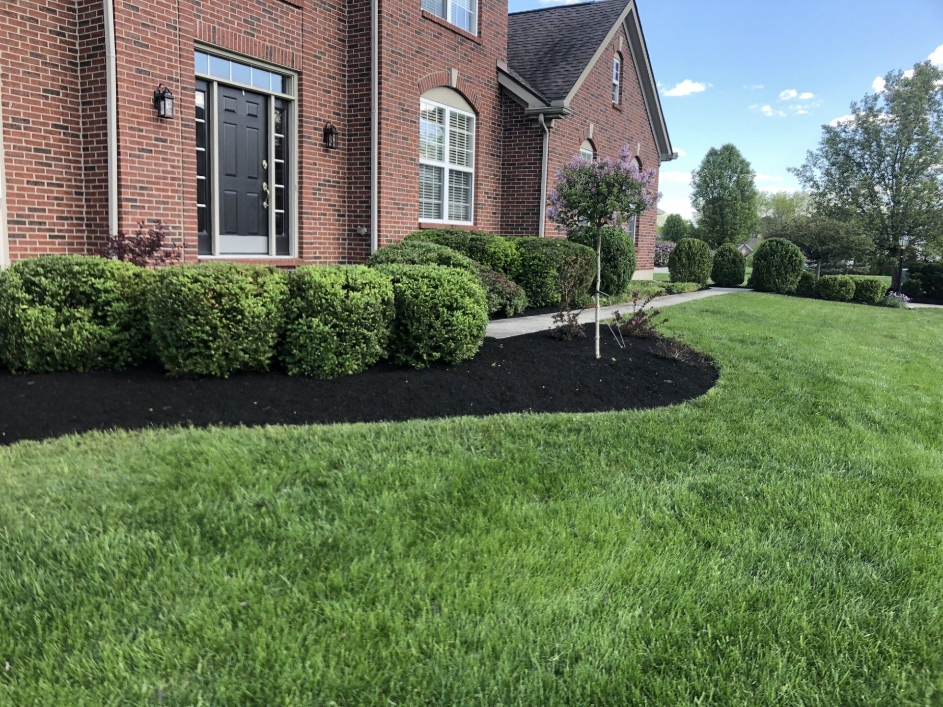 Boxwood Bushes — Fairborn, Ohio — Smith’s Lawn & Landscaping