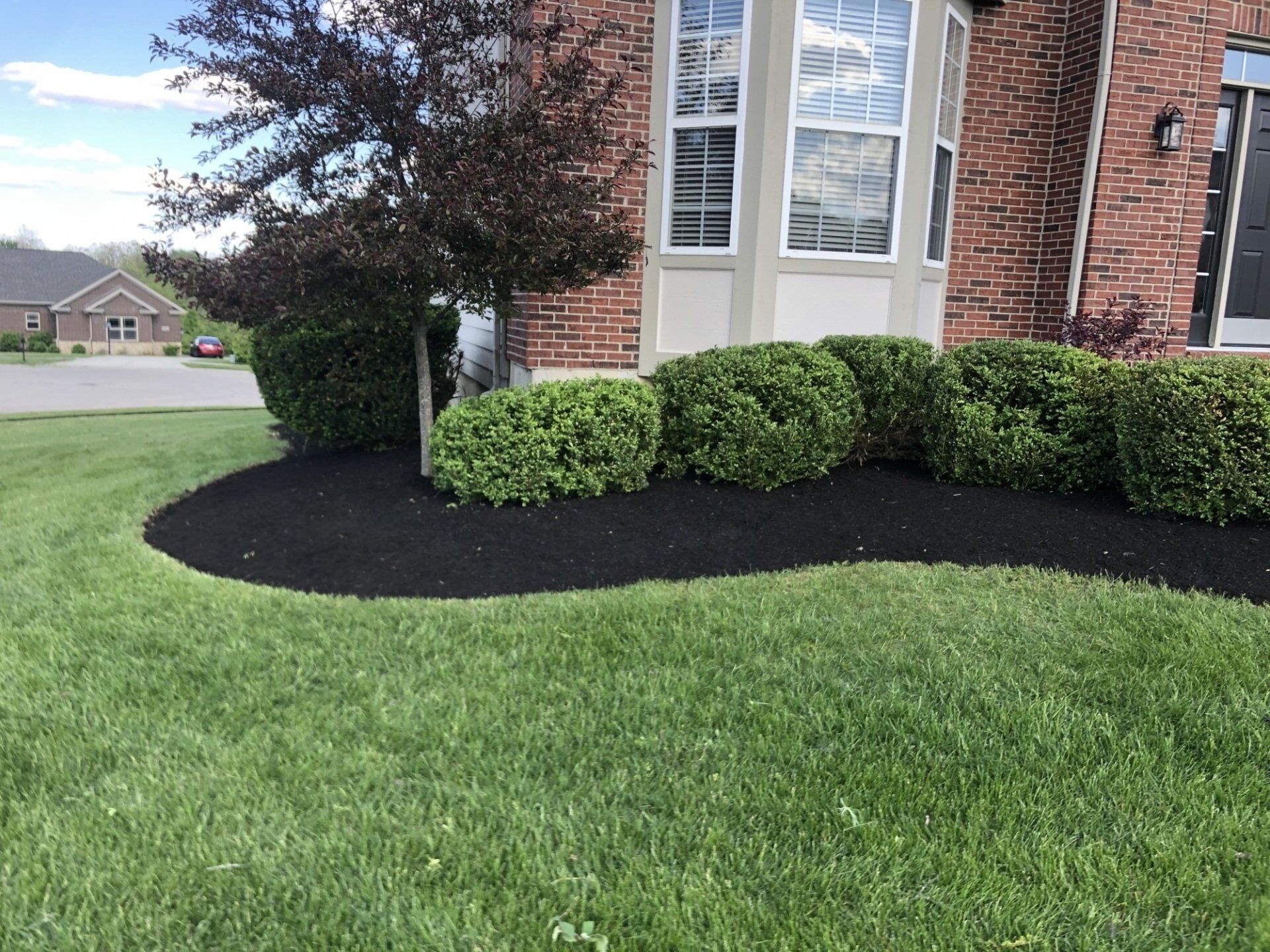 Boxwoods — Fairborn, Ohio — Smith’s Lawn & Landscaping