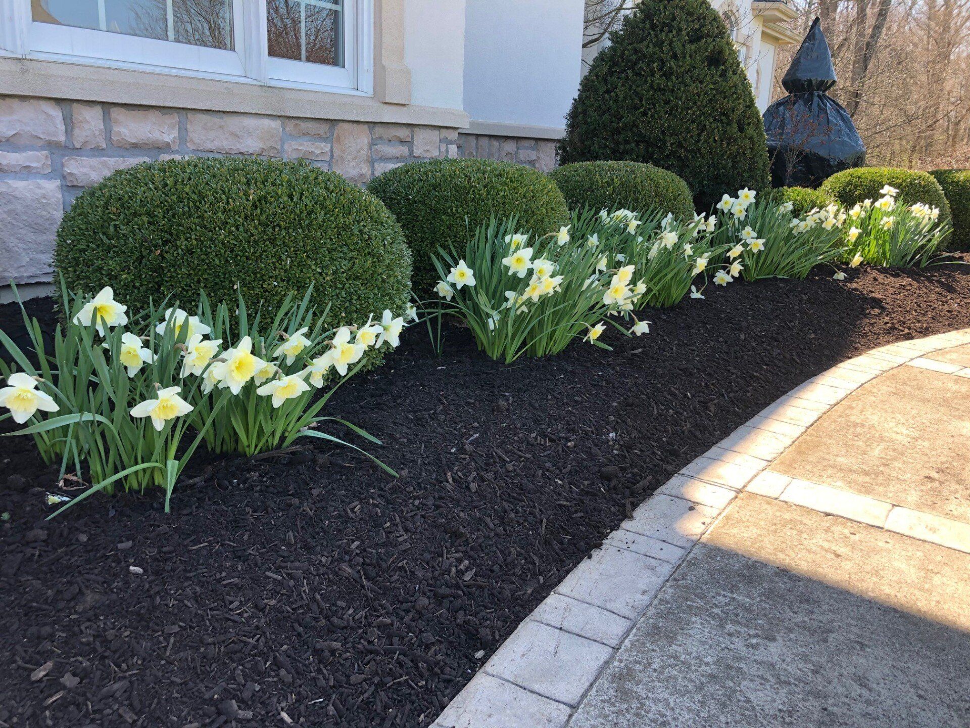 Brown Colored Tree — Fairborn, Ohio — Smith’s Lawn & Landscaping