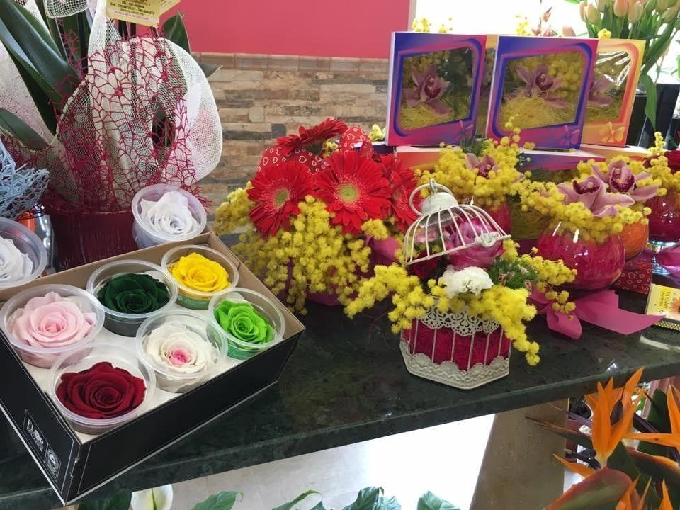 Composizioni con mimose