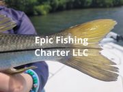 Fishing Guide