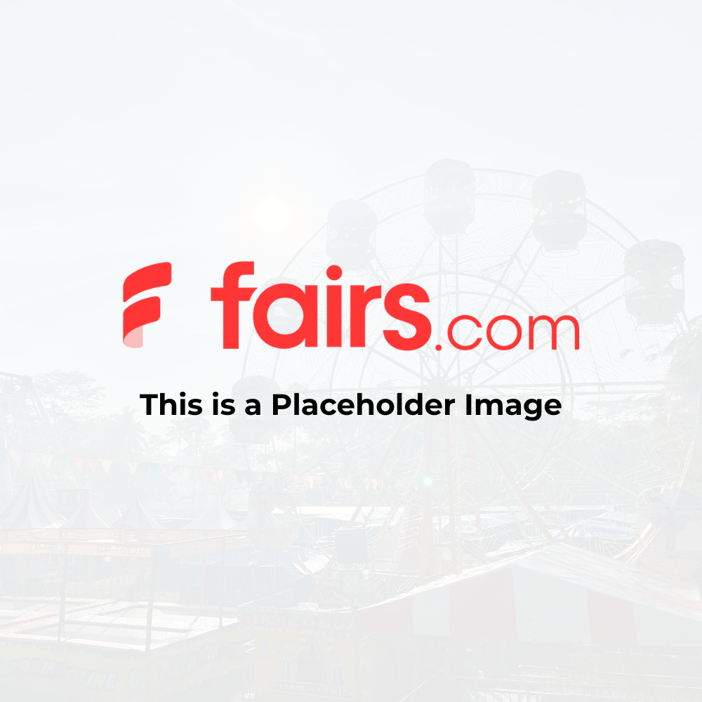 The red logo for 'fairs.com' centered on a light, faded background featuring the outline of a Ferris wheel.