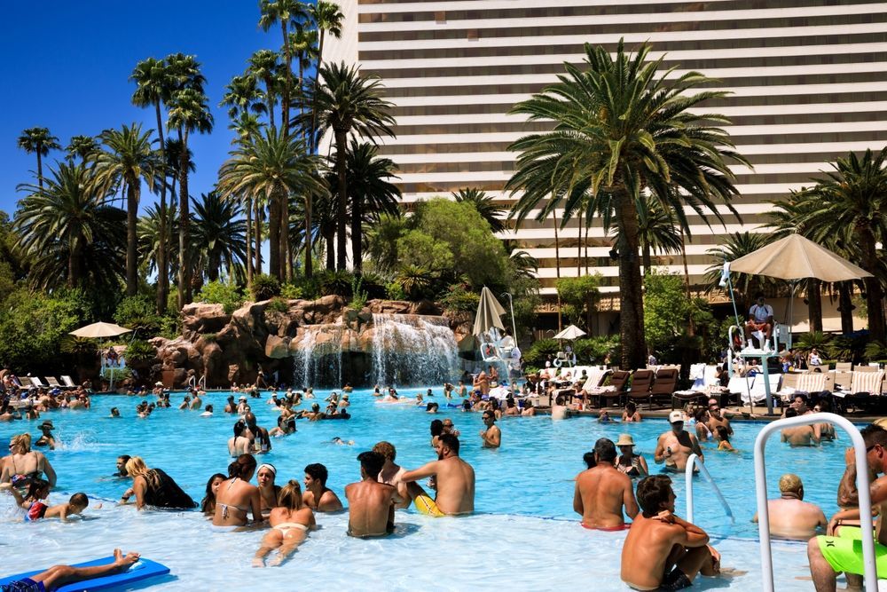 A large swimming pool filled with people and palm trees