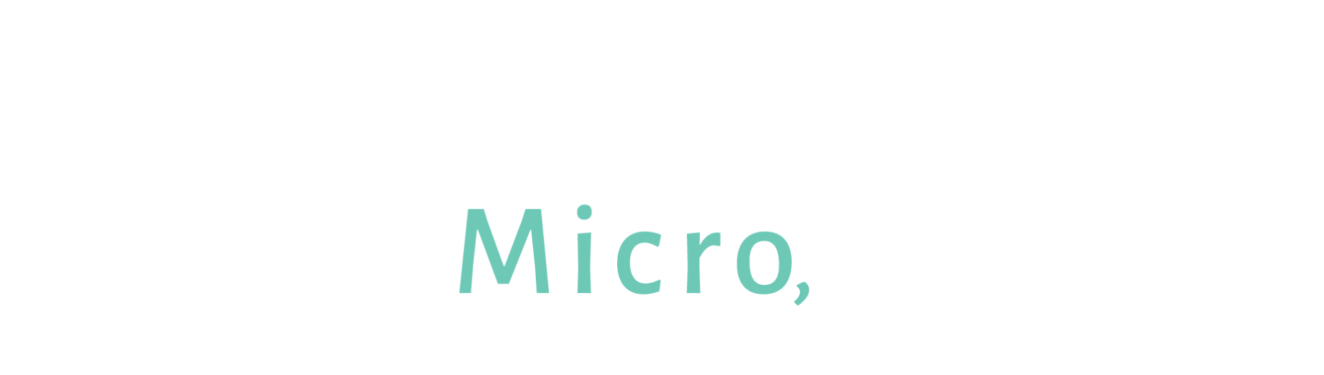 Susquehanna Micro Logo | Providing the best in high frequency jet ventilators and pulmonary function testing equipment 