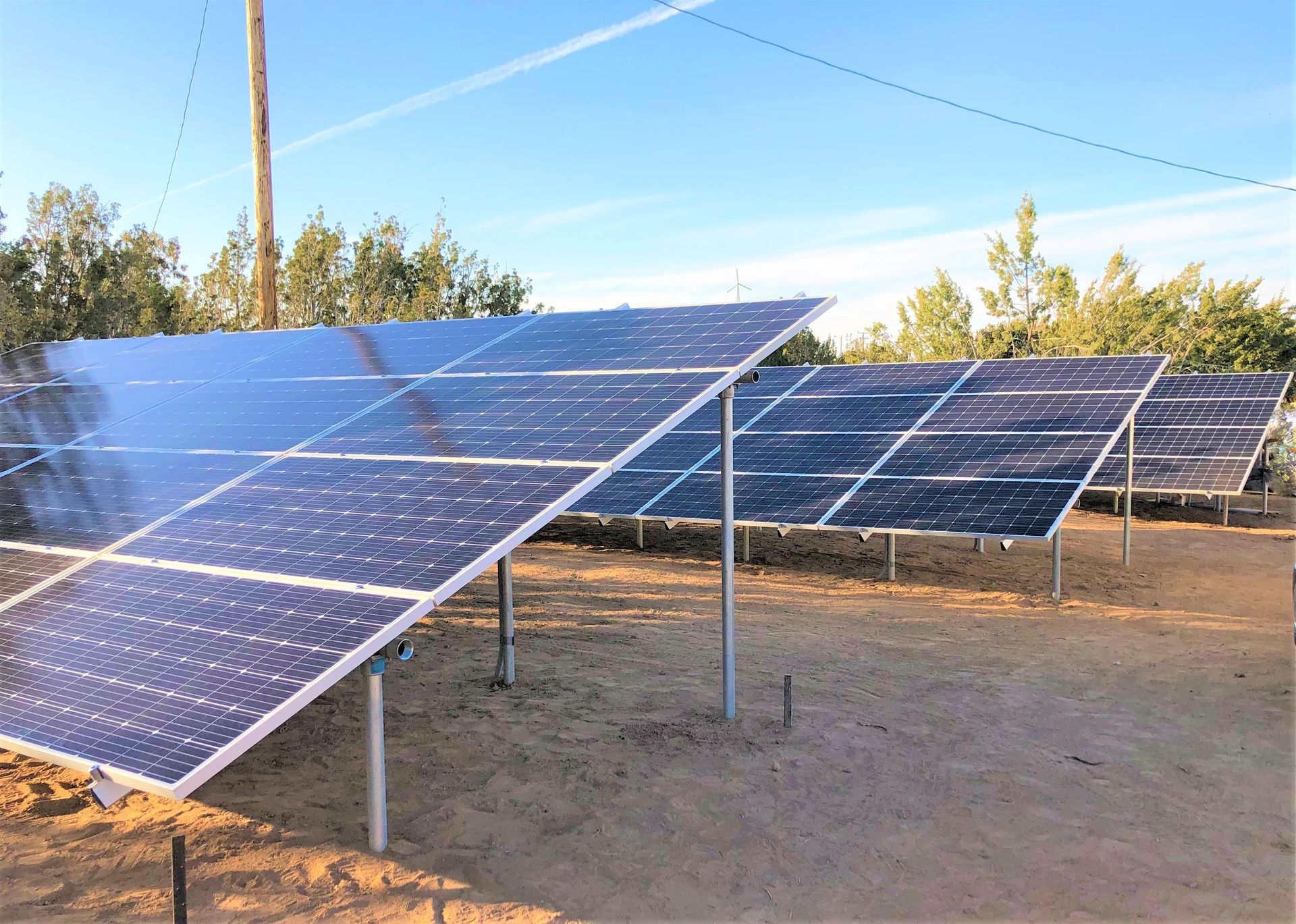Rows of blue solar panels in a sunny outdoor field under a clear sky