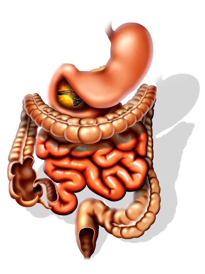 Dr. Baltasar Montes Alvarado