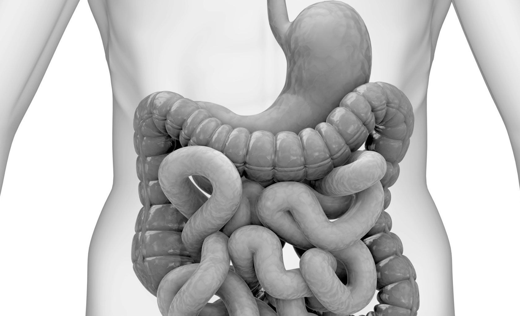 Dr. Baltasar Montes Alvarado