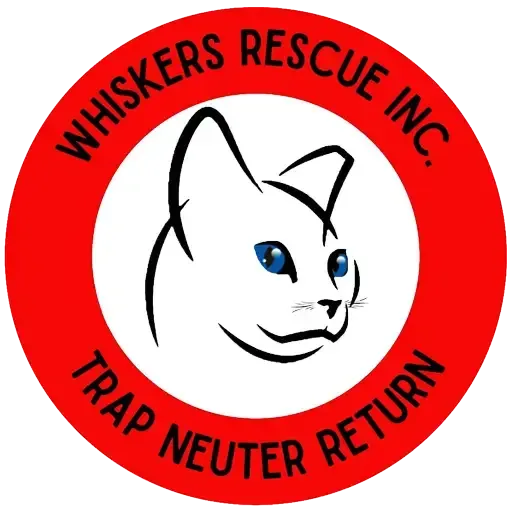 Logo for Whiskers Rescue Inc. with a red circular border containing the text 'Whiskers Rescue Inc.' and 'Trap Neuter Return' around a stylized black-and-white cat face with bright blue eyes