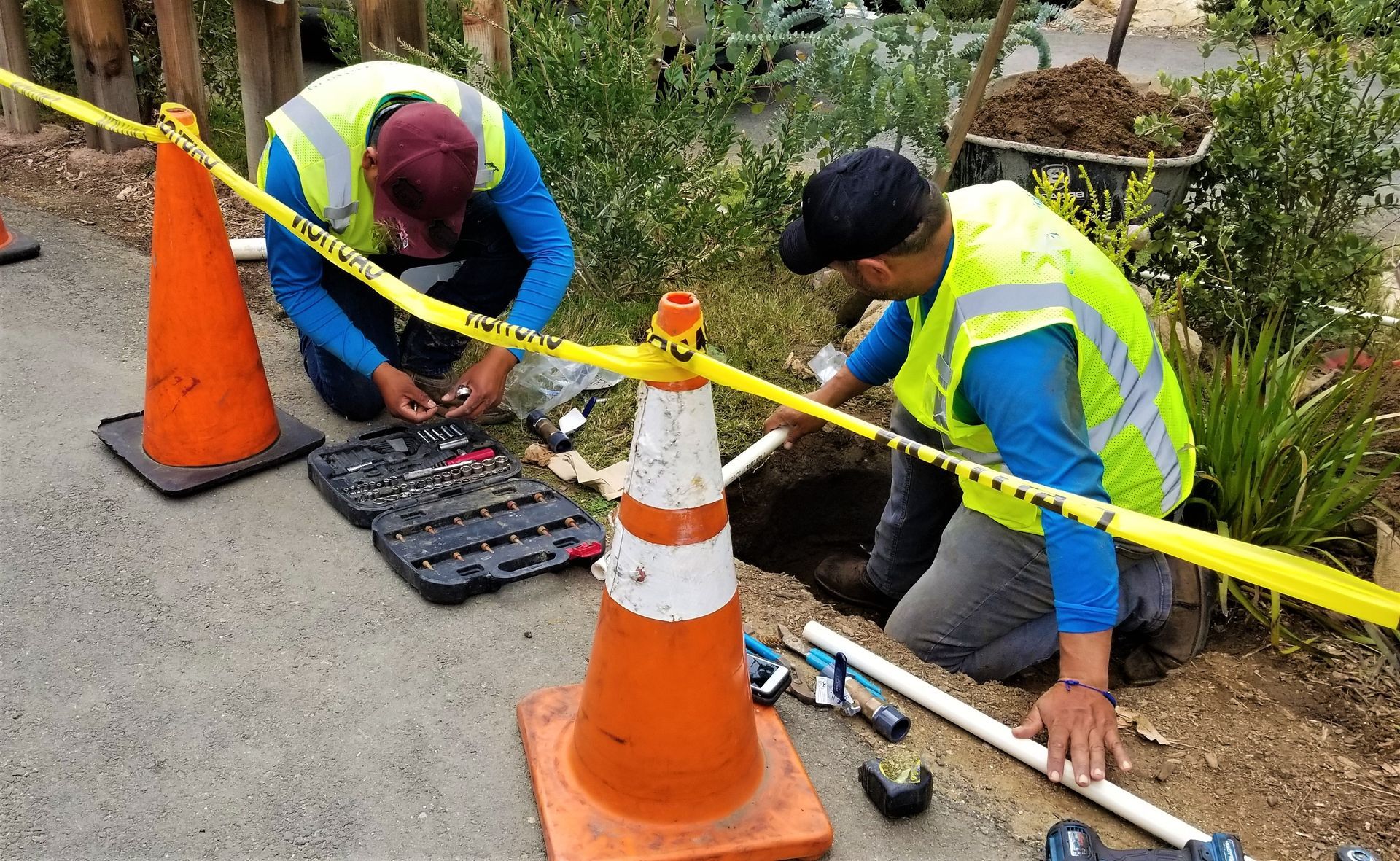 two plumbers working on tree root intrusion