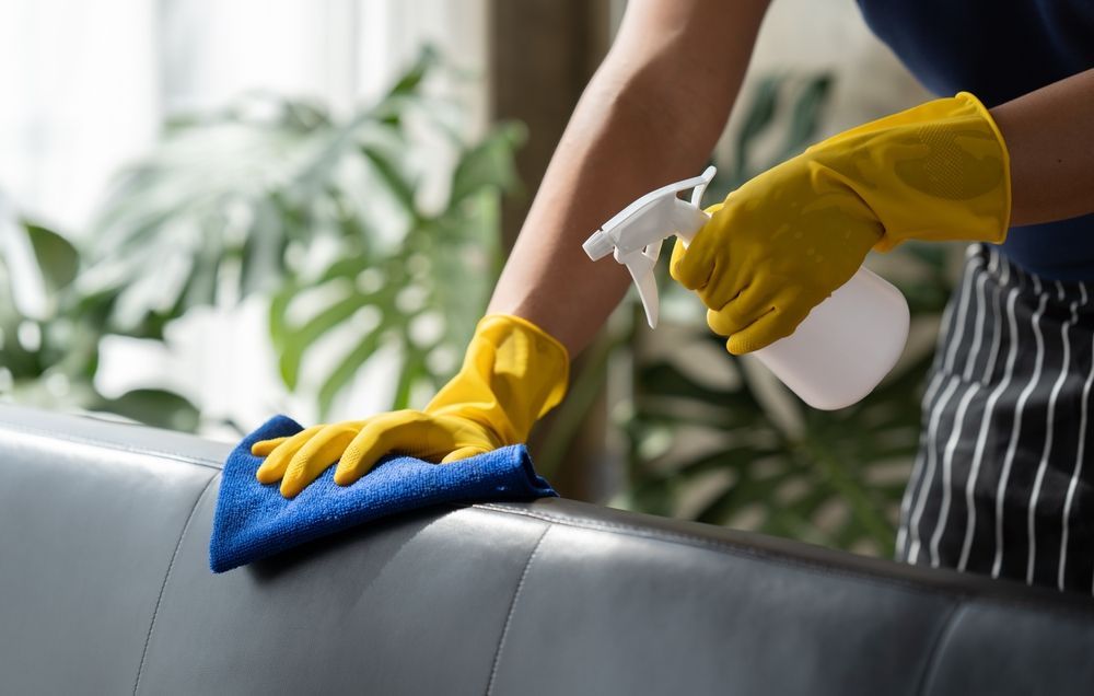 Person wearing yellow gloves sprays and wipes down a black couch with a blue cloth; a houseplant is in the background.