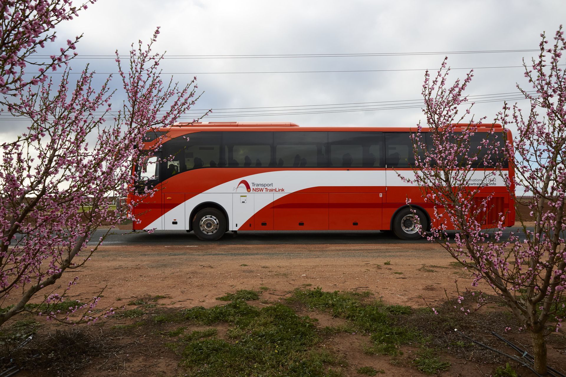 Red and White Bus — Swan Hill, VIC — BusBiz