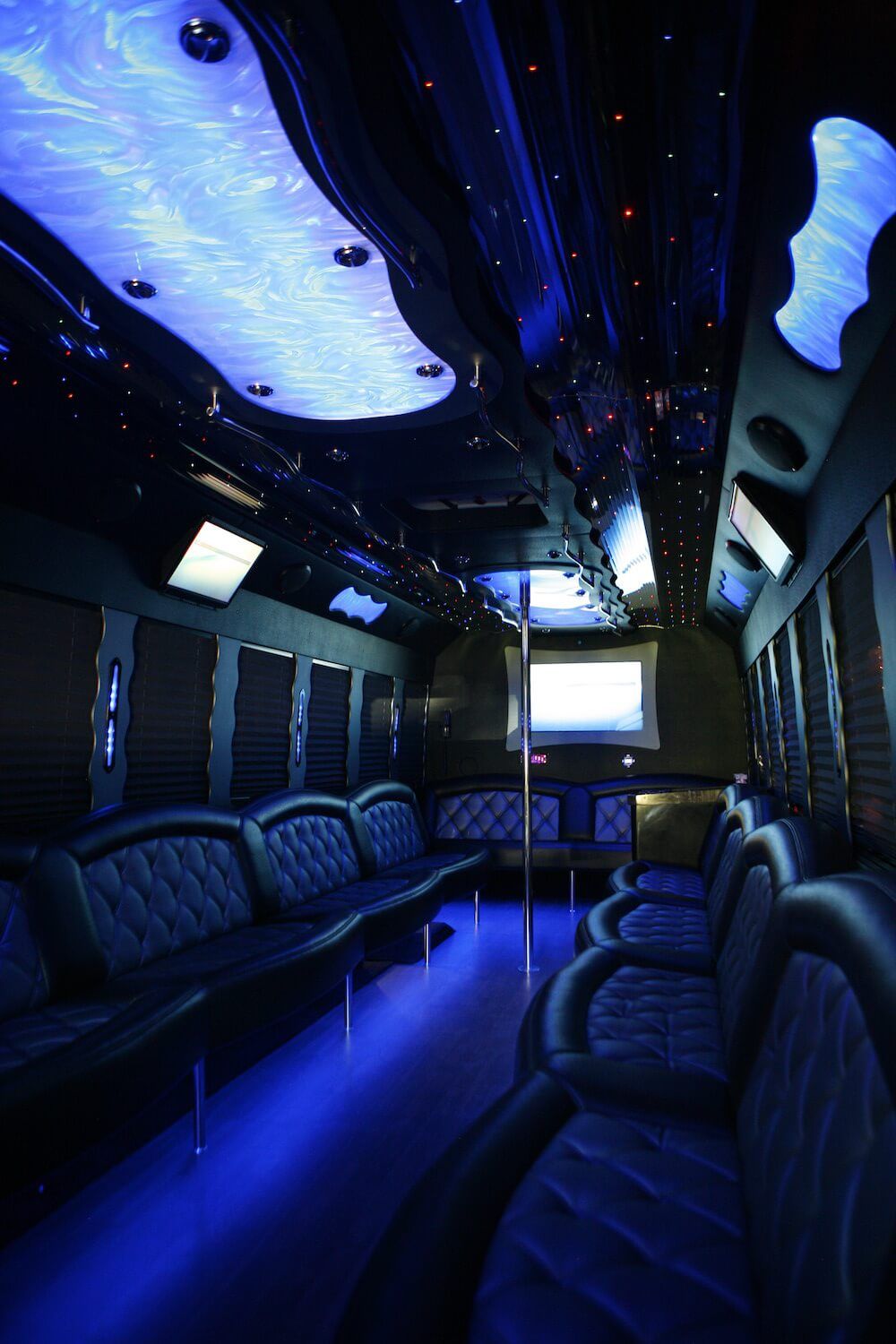 38 passenger Party Bus
