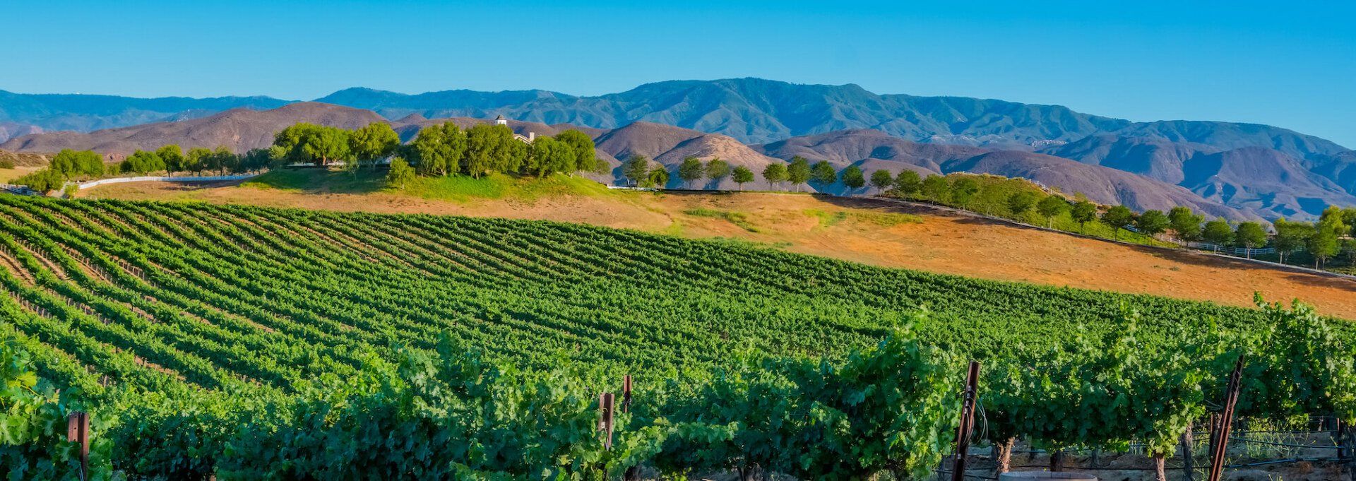 Party Bus Tours Orange County