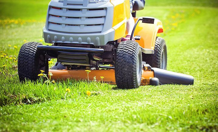 landscaping services 6