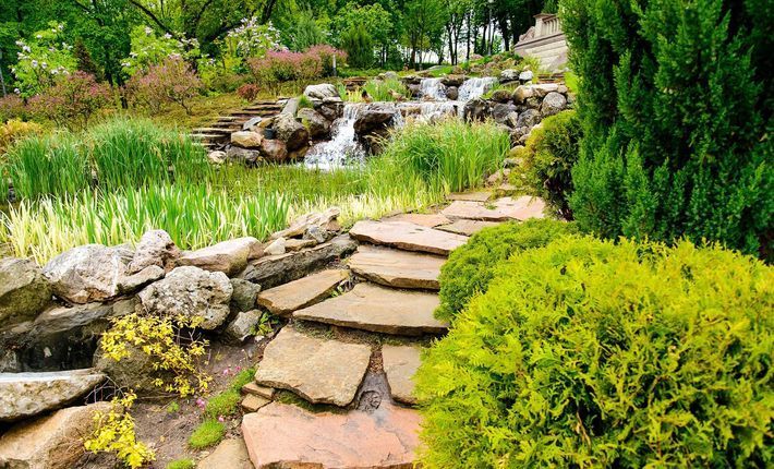 landscaping services 5