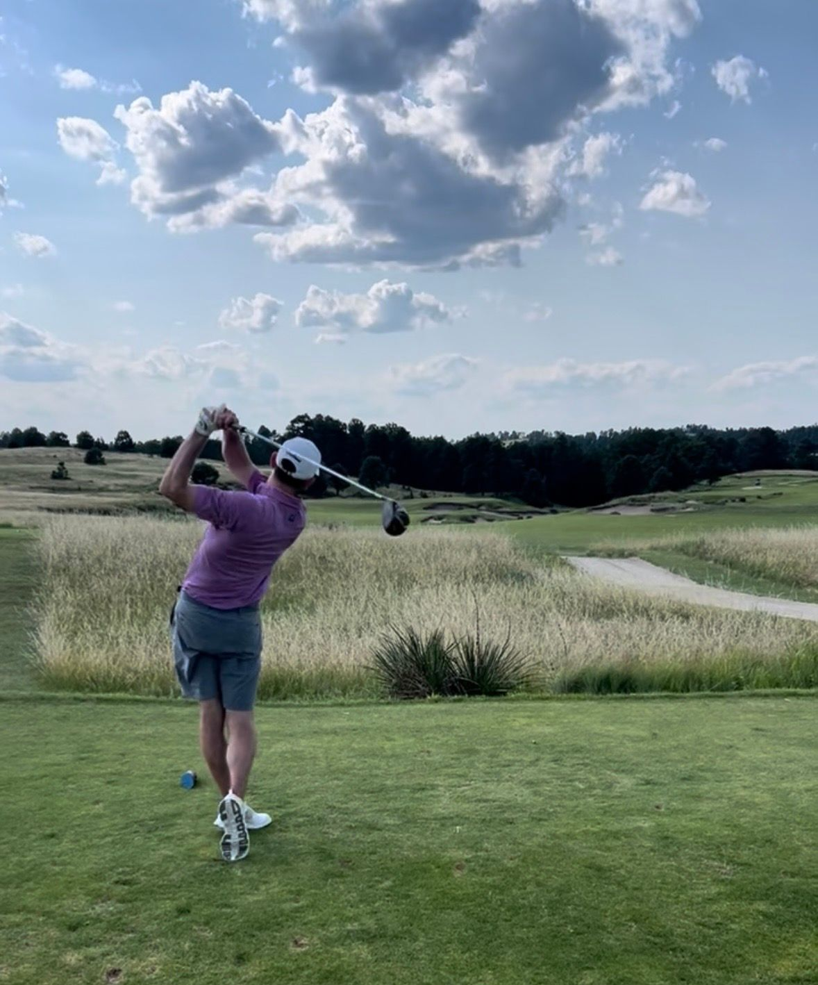 Golfer swings a club on a green course under a partly cloudy sky.