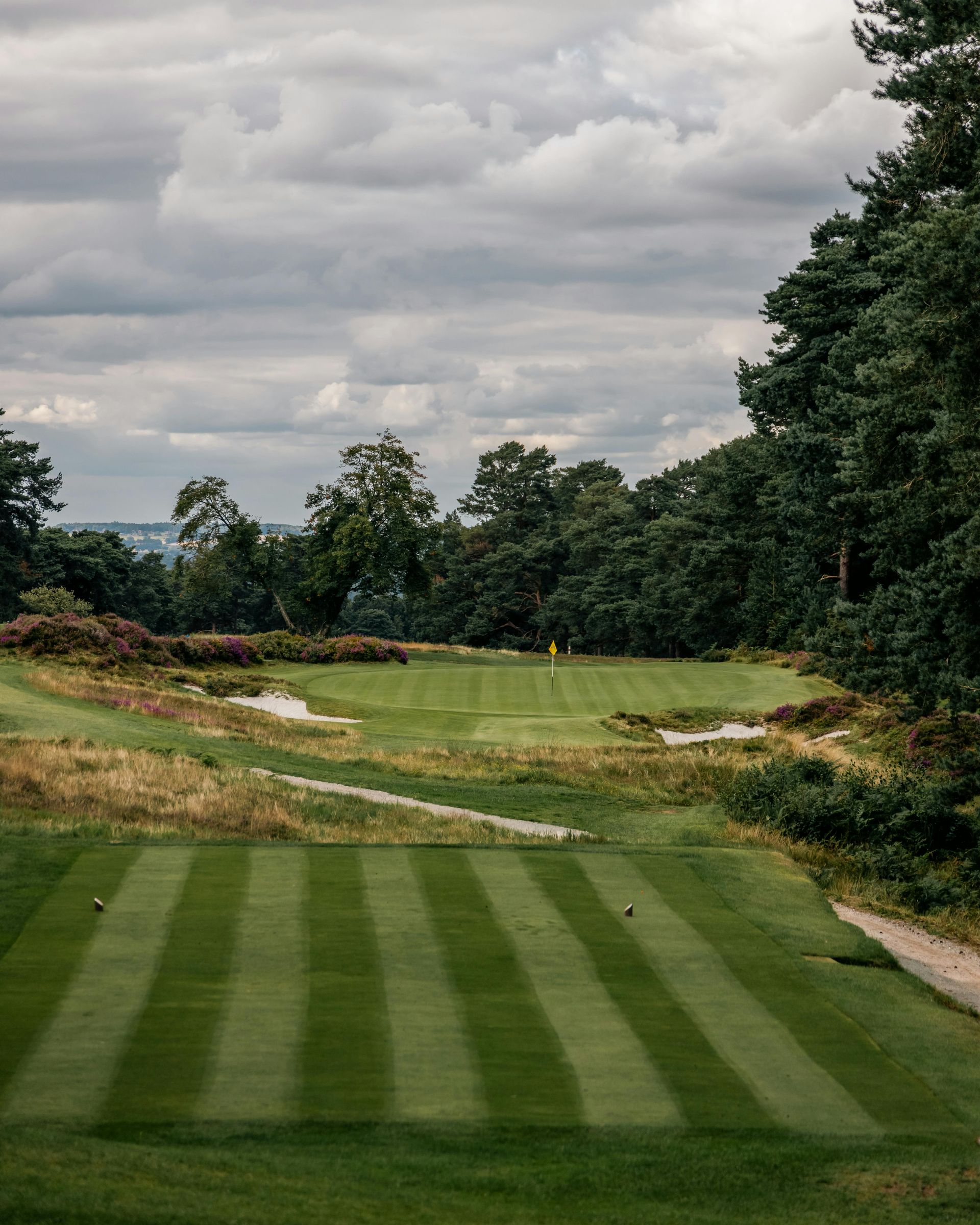 Golf course tee box with striped green grass, trees, and cloudy sky.