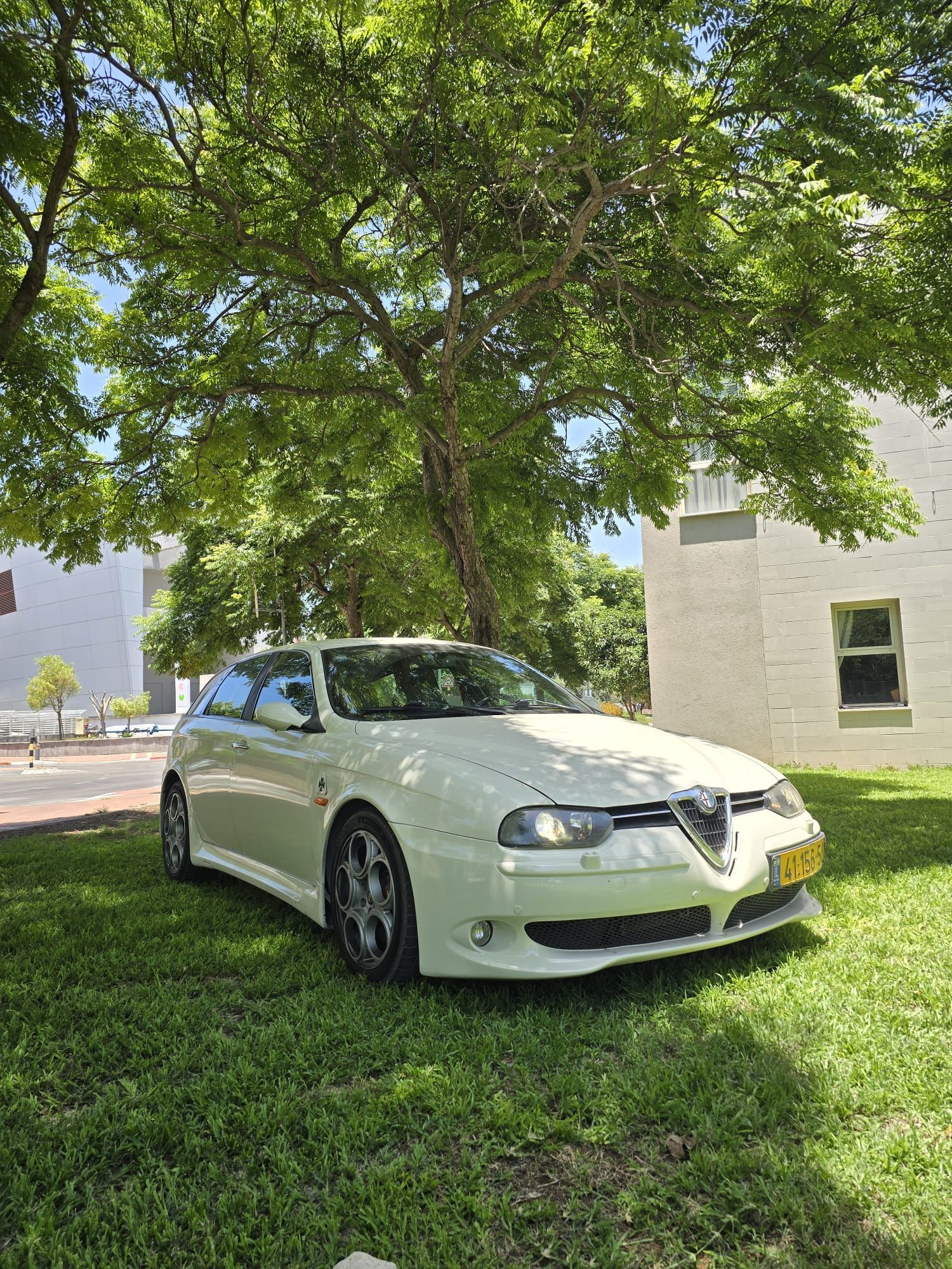 מכונית לבנה חונה בדשא מתחת לעץ.