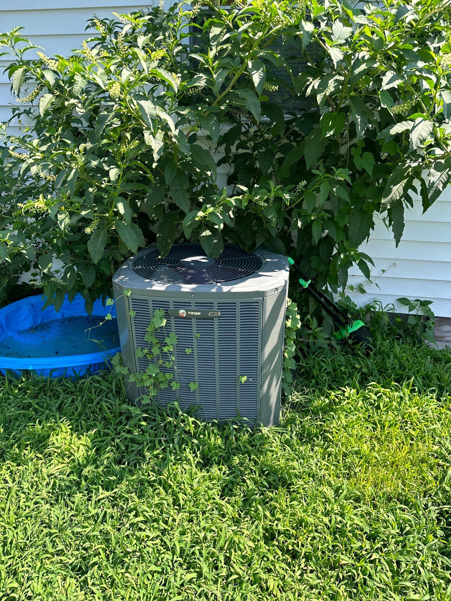 An air conditioner is sitting in the grass next to a tree.