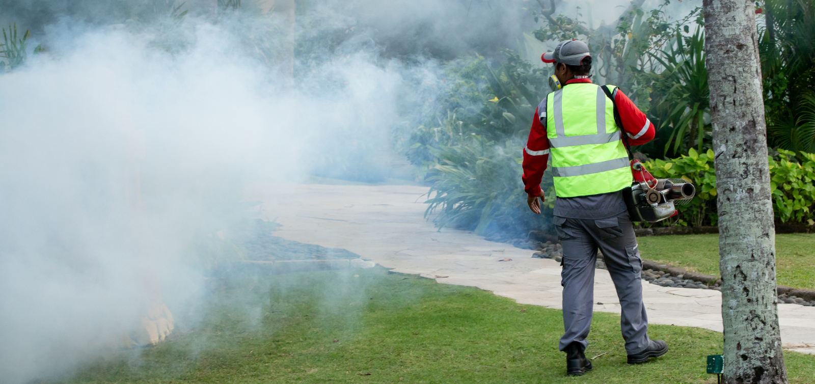 Mosquito and Tick Yard Treatments