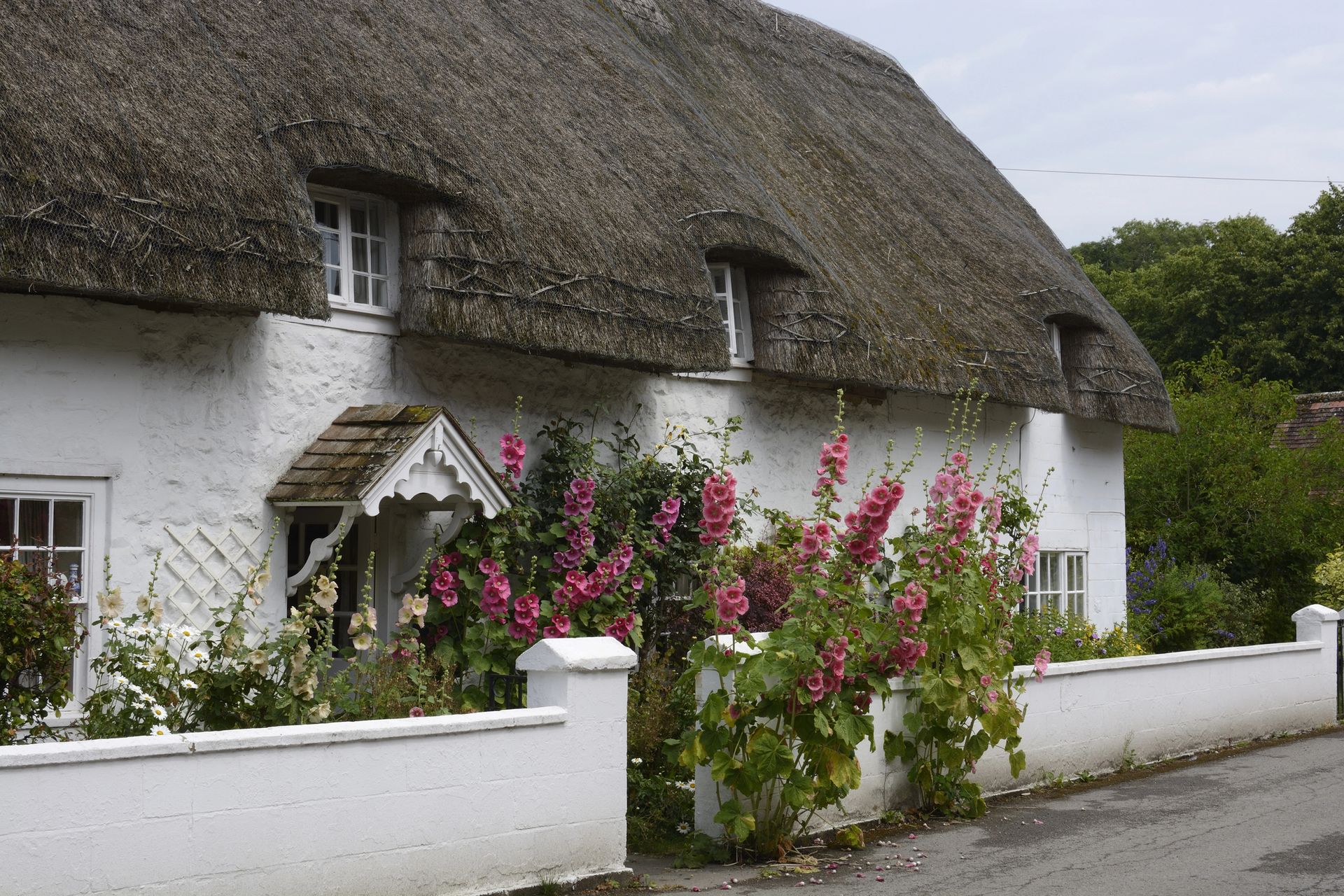 A thatched roofed white house with pink flowers in front of it