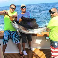 Now that is a sailfish!