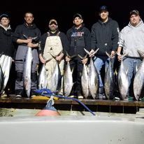 A group of men are standing on a dock holding fish.