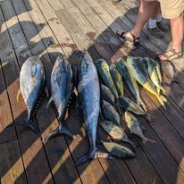 A bunch of fish are sitting on top of a wooden deck.