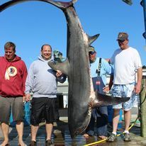 A group of men are standing next to a large shark.