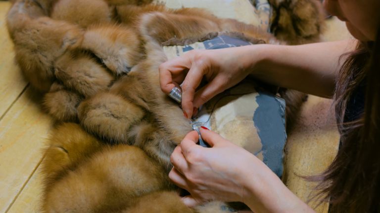 riparazione di pelliccia